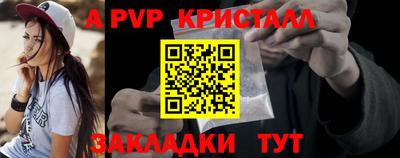 крисы Кингисепп
