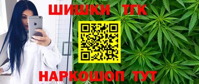 крисы Кингисепп