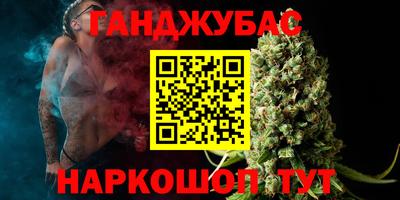крисы Кингисепп