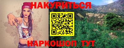 крисы Кингисепп