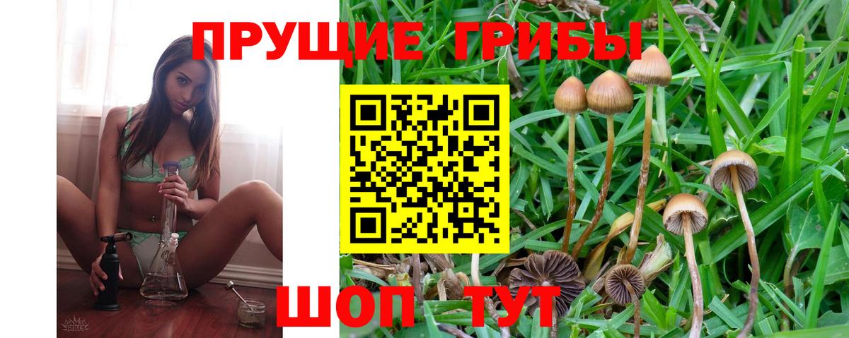 Галлюциногенные грибы Cubensis Выкса