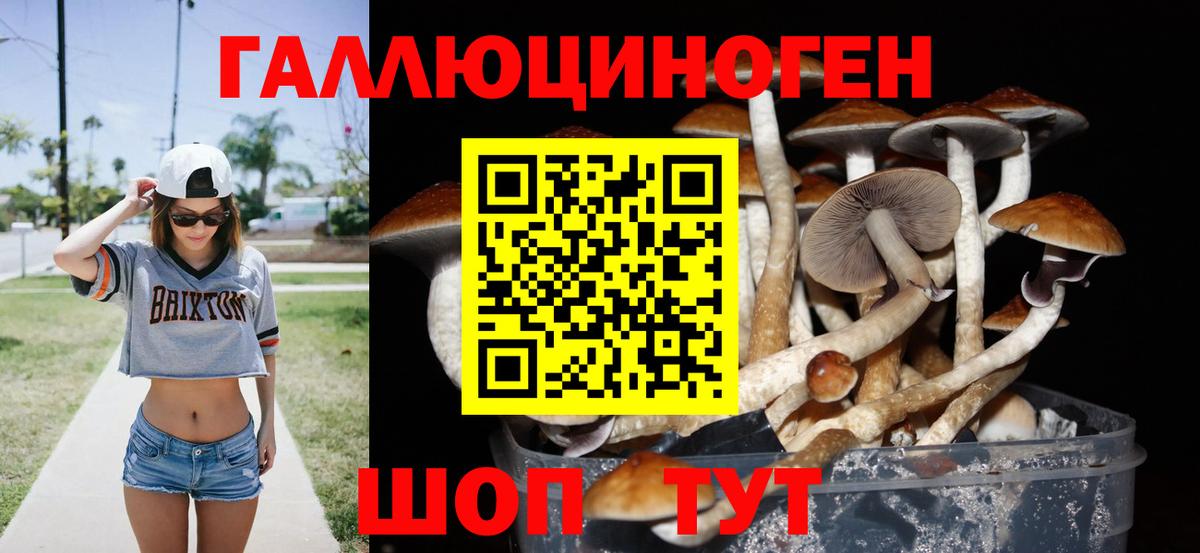 Галлюциногенные грибы мицелий  Вход с VPN  Галлюциногенные грибы GOLDEN TEACHER  Выкса 
